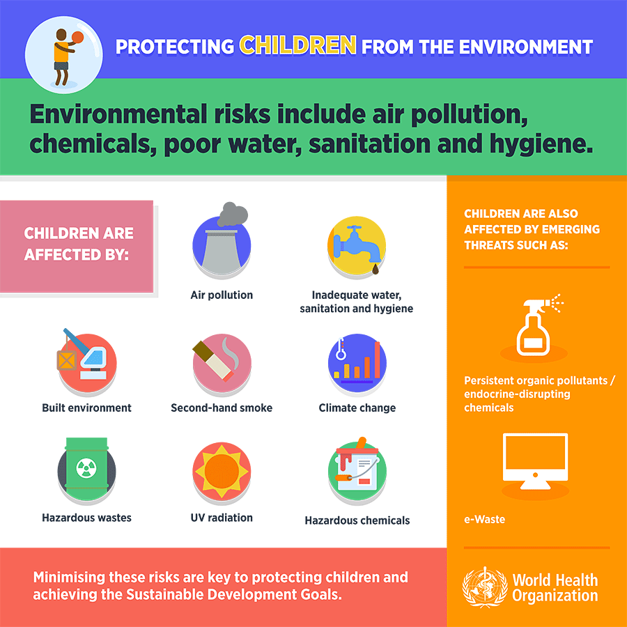 Environmental risks include air pollution, chemical, poor water, sanitation and hygiene