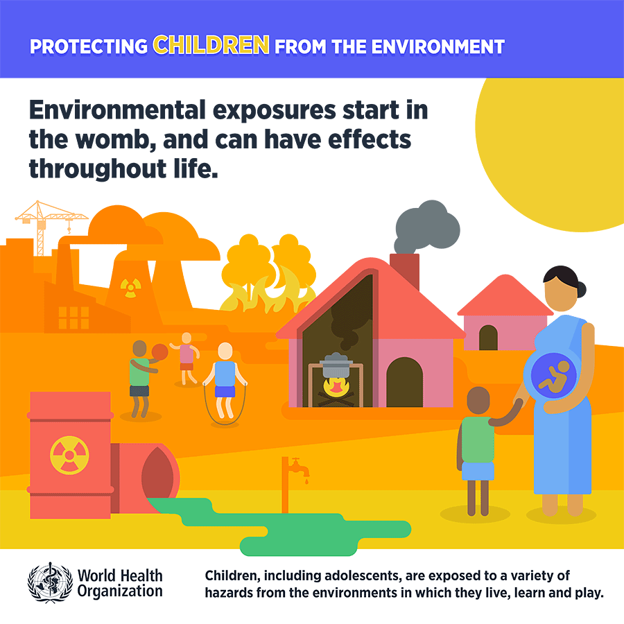 Environmental exposures start in the womb, and can have effects throughout life